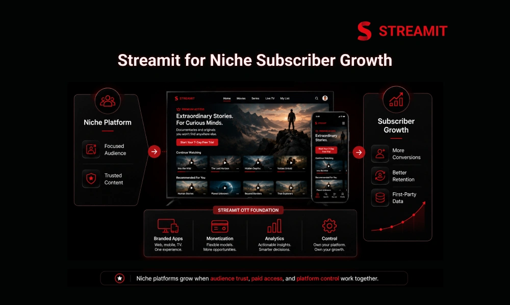 Why Streamit Fits Niche Platforms Focused on Subscriber Growth